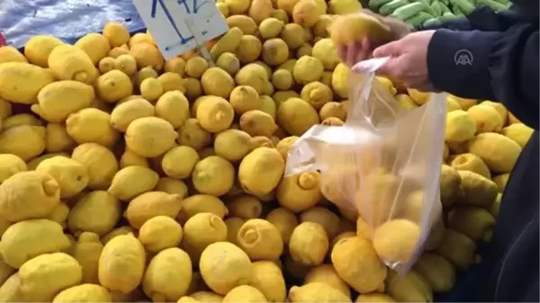 Türkiye'den ocak ayında 31,4 milyon dolarlık limon ihraç edildi