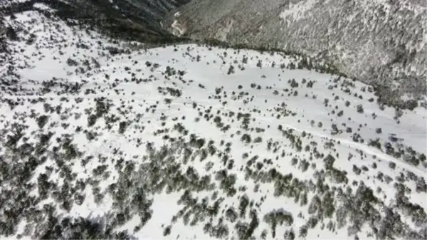 Murat Dağı'na, yaban hayvanları için yem bırakıldı