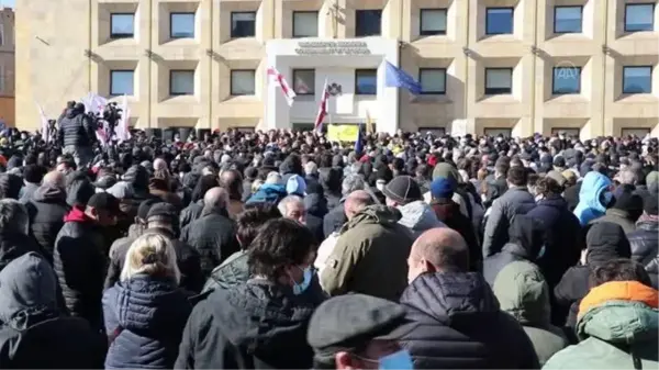 Gürcistan'da ana muhalefet lideri Melia'nın gözaltına alınmasının ardından başlayan protesto sona erdi