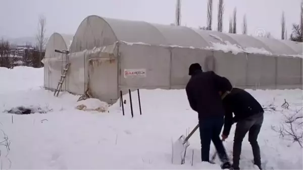 Konyalı çiftçi, arkadaşlarının olumsuz görüşlerine rağmen sera kurdu