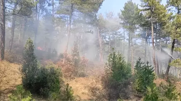 Domaniç'te çıkan orman yangını kontrol altına alındı