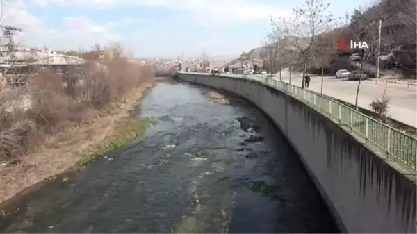 Kötü kokuların geldiği Araç Çayı'nda çevre felaketi