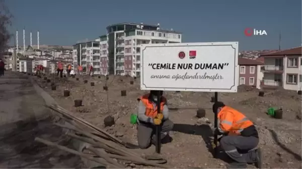 Son dakika haber | Bilecik'te yürek yakan görüntü...2 yaşındaki Hızır Efe, babasının öldürdüğü annesi adına dikilen ağaca toprak attı