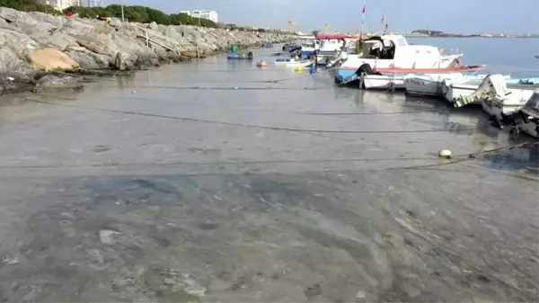 Pendik'te korkutan görüntünün gerçek nedeni belli oldu