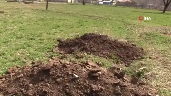 Şırnak'ta ahırdan tarlaya organik gübre mesaisi başladı