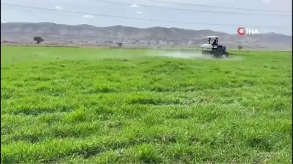 Gercüş'te çiftçilerin bahar mesaisi başladı