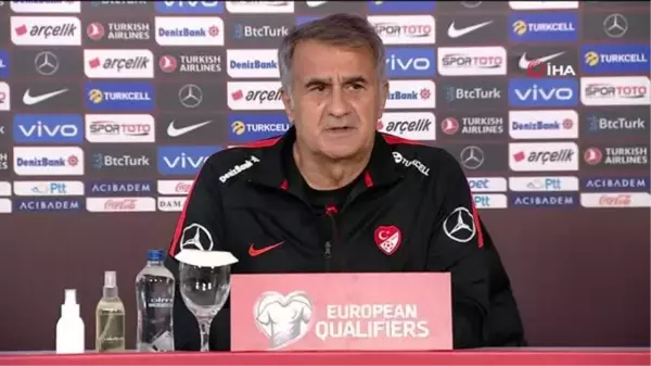 Şenol Güneş: 