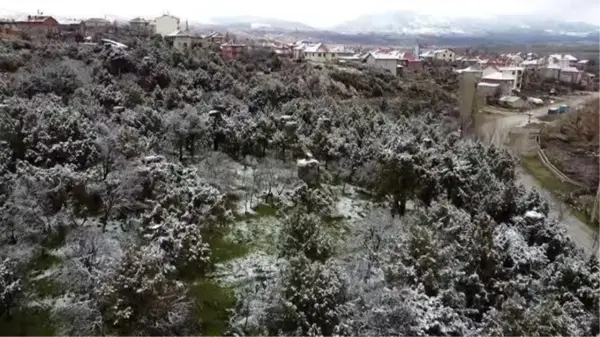 Beyşehir'de leyleklerin yuvaları kar örtüsü altında kaldı