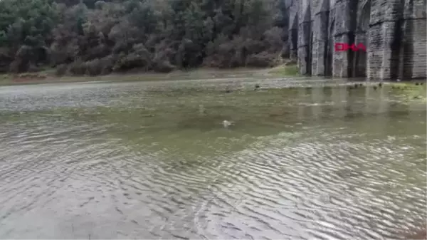 İSTANBUL'DA BARAJLARDAKİ DOLULUK SON BİR YILIN EN YÜKSEK SEVİYESİNE ULAŞTI