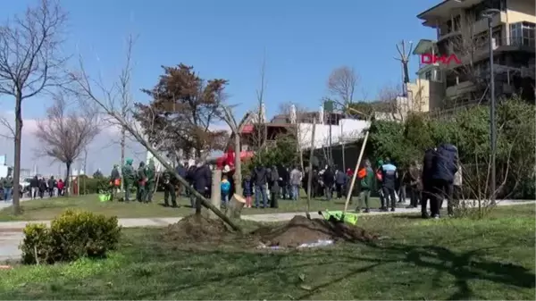 İSTANBUL-Üsküdar'da izinsiz kesilen ağaçların yerine yenisini 'çınarlar' dikti