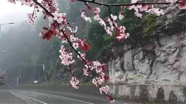 Kar dolayısıyla 76 köy yolu ulaşıma kapandı