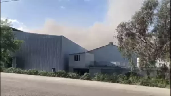 Son dakika haberleri | Mersin'de muz sarartma tesisinde çıkan yangın kontrol altına alındı