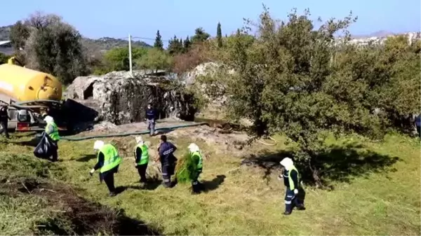 Son dakika... Bodrum'da Roma dönemine ait kaya mezarlarının turizme kazandırma çalışmaları