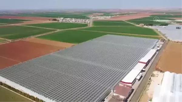 ŞANLIURFA -Harran Ovası'nda jeotermal seraların devamlılığı suyun kaynağına enjeksiyonuyla sağlanacak