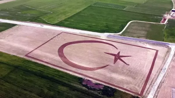 Baba gibi baba! 70 dönümlük tarlada çocuklarının hayalini gerçekleştirdi