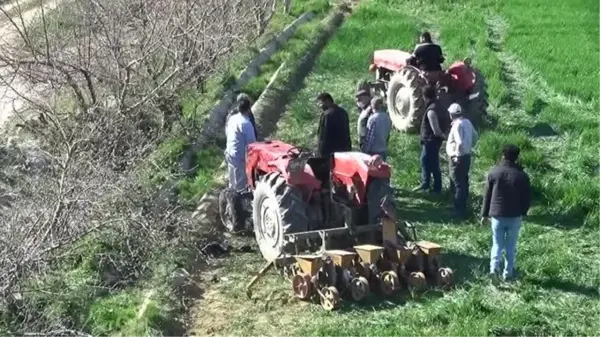 AFYONKARAHİSAR - Devrilen traktördeki 2 kişi yaralandı