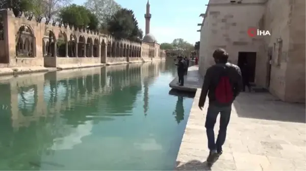 İngiliz turist, Urfa ciğeri yemek için 5 bin kilometre yol geldi