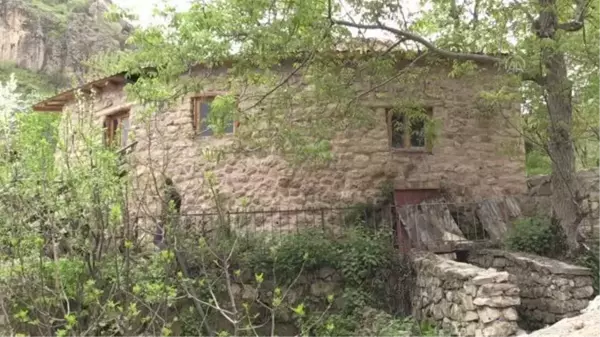 Çukurca'nın, 400 yıllık değirmende öğütülen susamdan elde edilen tahininin ünü sınırları aştı