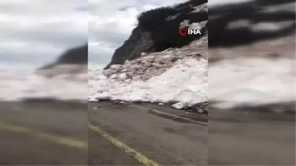 Artvin'de çığ düşmesi sonucu kapanan Camili Bölgesi tekrar ulaşıma açıldı