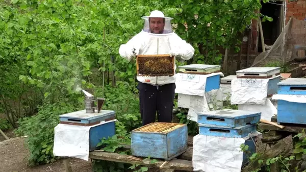 Pandemide karakovan balına talep arttı