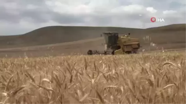 Yozgat'ın biçerdöverleri Güneydoğu yolcusu