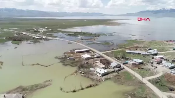 Son dakika gündem: Erçek Gölü'ne flamingolar bu yıl erken geldi