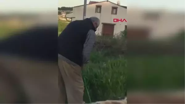 SARIYER'DE KÖPEĞİNİ SİLAHLA VURARAK ÖLDÜRDÜĞÜ İDDİA EDİLEN KİŞİ GÖZALTINA ALINDI