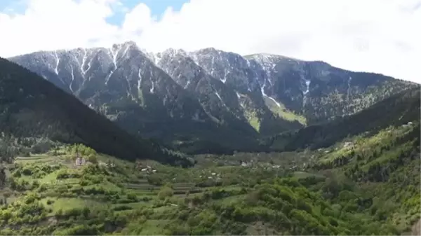 GÜMÜŞHANE - Yüksek rakımlı zirvelere kar yağdı