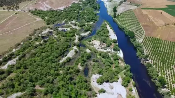 Kırmıtlı Kuş Cenneti ilkbaharın renklerine büründü