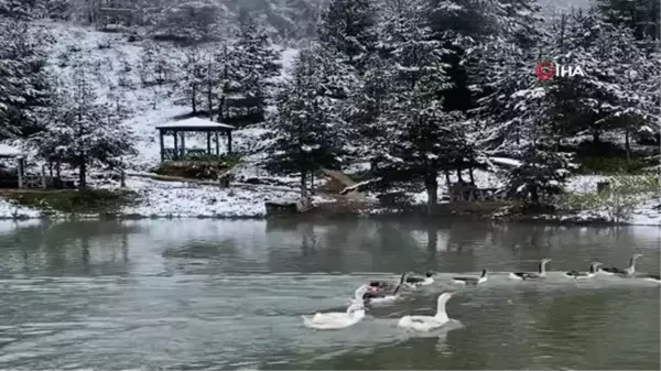 Son dakika haberi: Limni Gölü Tabiat Parkı'ndan eşsiz görüntüler