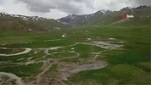 Şırnak'ta eriyen karlar dev menderesler oluşturdu