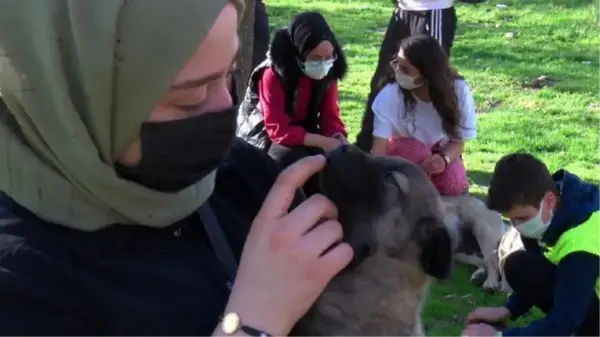 Kısıtlamada sokak hayvanları unutulmadı