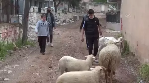 İzmir depreminde enkaz altından 10 saat sonra kurtarılan Günay doğayla iç içe bir yaşam kurdu