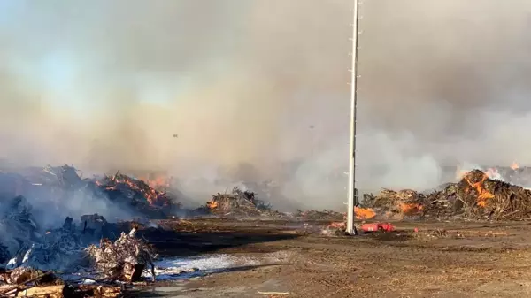 Biyokütle enerji santrali yangınıyla ilgili savcılık inceleme başlattı