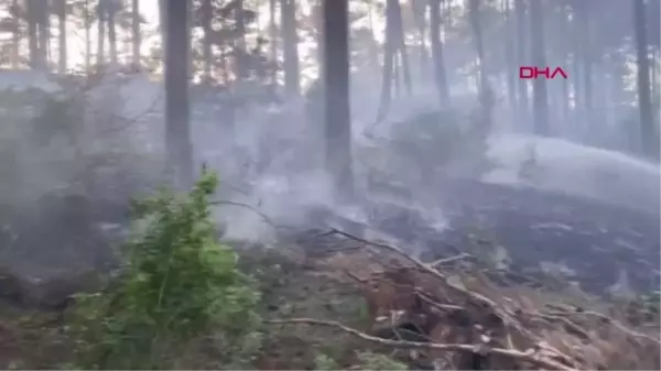 Son dakika haberi... BURDUR'DA ORMAN YANGINI