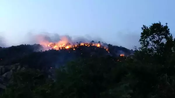 Son dakika haberi: Bingöl'de orman yangını 2 günde kontrol altına alınabildi