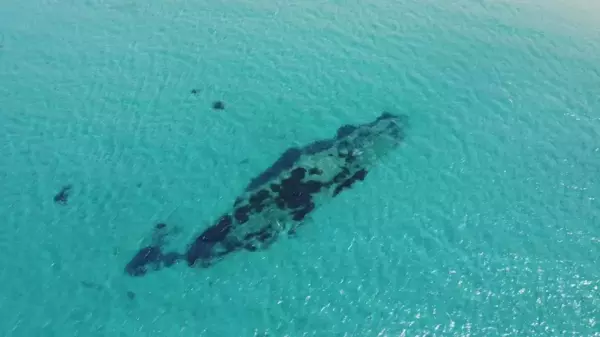 Son dakika haberi! Çanakkale Savaşı'ndaki batık gemiler havadan görüntülendi