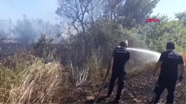 HASADI YAPILACAK, BUĞDAY TARLASI YANDI