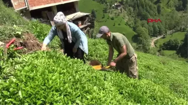 PANDEMİDE SINIR KAPILARI KAPANINCA AYRI KALAN ÇİFT, 1 YIL SONRA KAVUŞTU