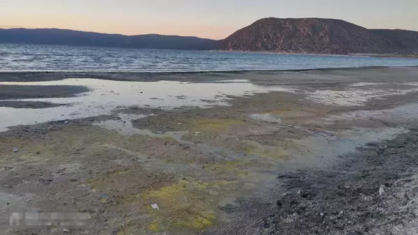 Son dakika... Salda Gölü'ndeki değişimin nedeni mevsimsel polenler