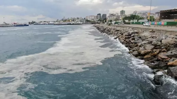 Bostancı Sahili'nde deniz salyası yoğunluğu su altı kamerasıyla görüntülendi