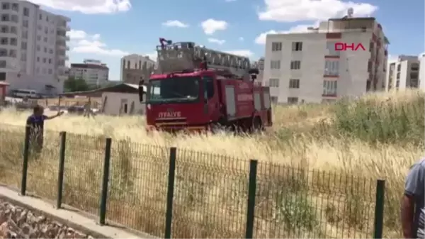 Son dakika... ADIYAMAN SU KANALINA DÜŞEN İNEĞİ İTFAİYECİLER KURTARDI