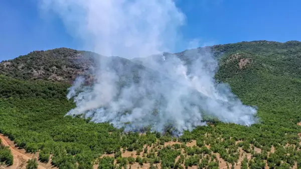 Elazığ Valiliği: 