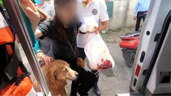 Dostluğu görenleri duygulandırdı! Köpek, hastaneye kaldırılan sahibini bir an olsun bırakmadı