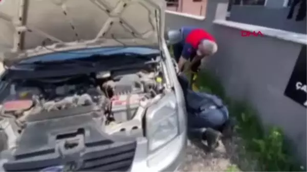 DÜZCE BOLU'DA SATILAN ARACIN MOTORUNA GİREN YAVRU KEDİ, DÜZCE'YE GELDİ