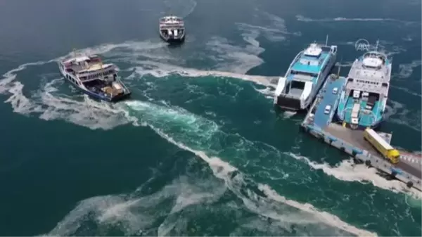 Çanakkale Boğazı'ndaki müsilaj yoğunluğu havadan görüntülendi