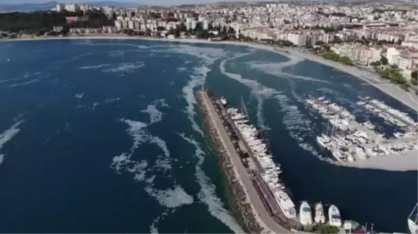 ÇANAKKALE - DRONE - Kıyılarda müsilaj yoğunluğu oluştu