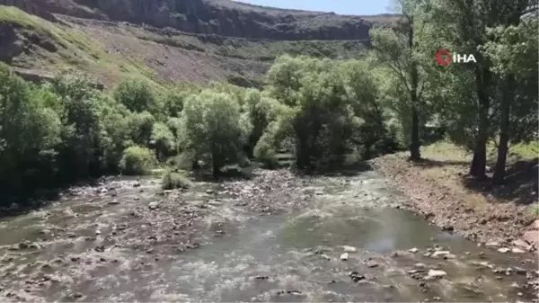 Kuraklık Kars Çayını da vurdu