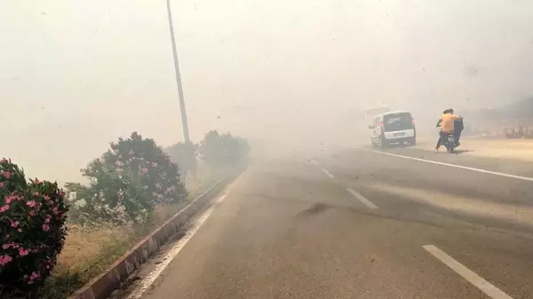 Son dakika haberi! İslahiye'de anız yangını trafiği durdurdu