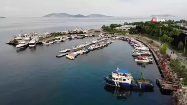 Kartal Sahili deniz salyasından temizlendi